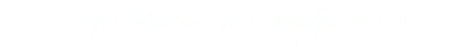 Sergio Martínez de Lahidalga Tarrero